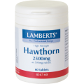 LAMBERTS Hawthorn 2500mg